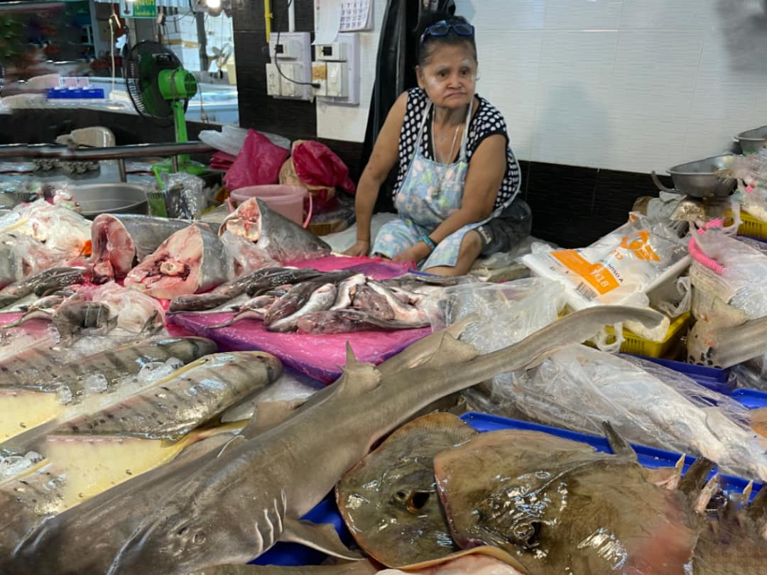 pattaya city-tour-fish-market-shark